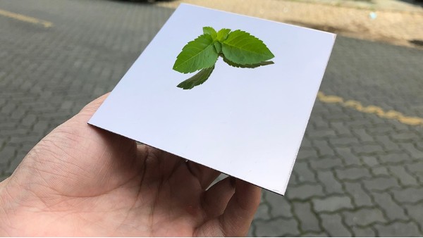 不銹鋼鏡面如有劃痕怎么處理？